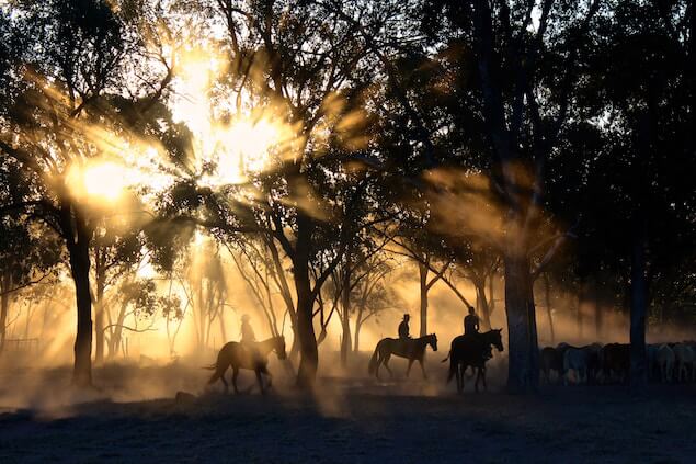 Balade à cheval