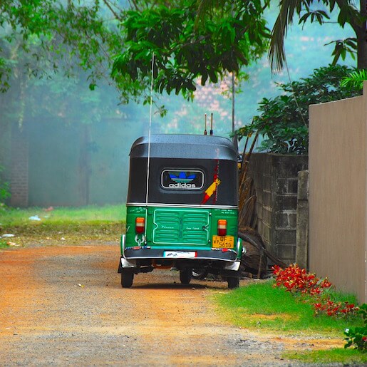 Découvrez les plantations de thé en tuk tuk