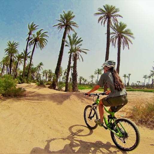 LA PALMERAIE EN VELO