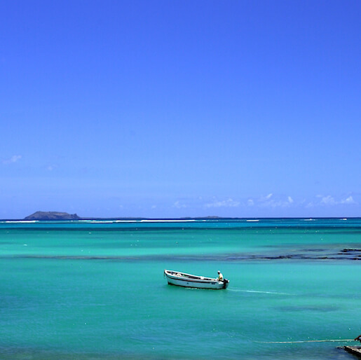 DEPUIS FLIC-EN-FLAC (2/2)
