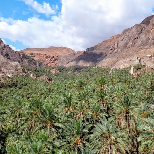 Désert de Ouarzazate