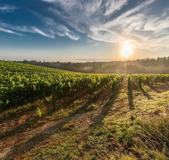 HERDADE DO MALHADINHA NOVA, Alentejo