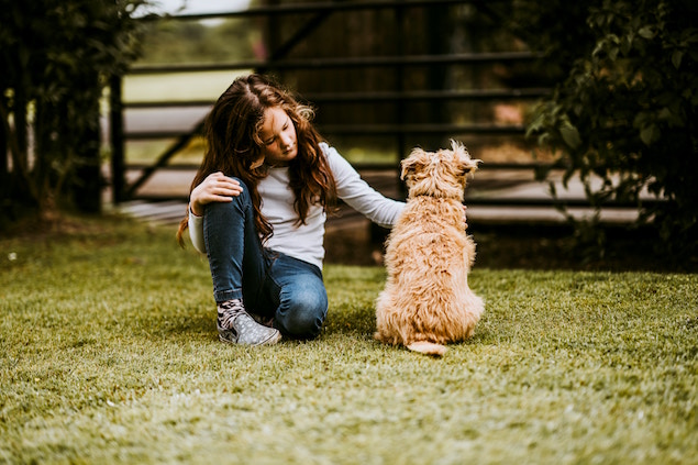 Location villas animaux acceptés