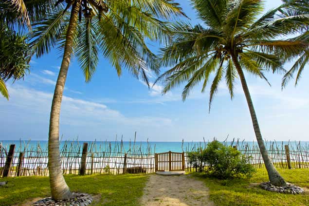 Location villas accès direct à la plage