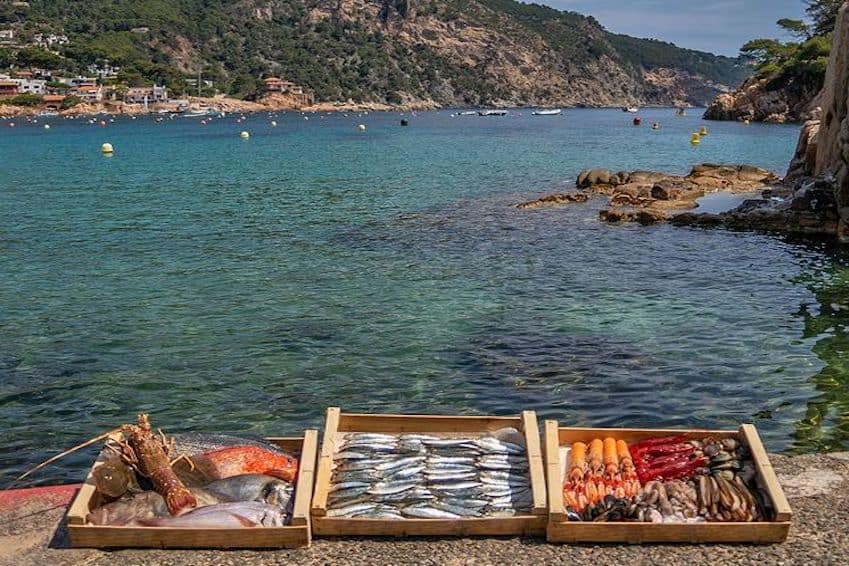 Les restaurants incontournables autour de Begur