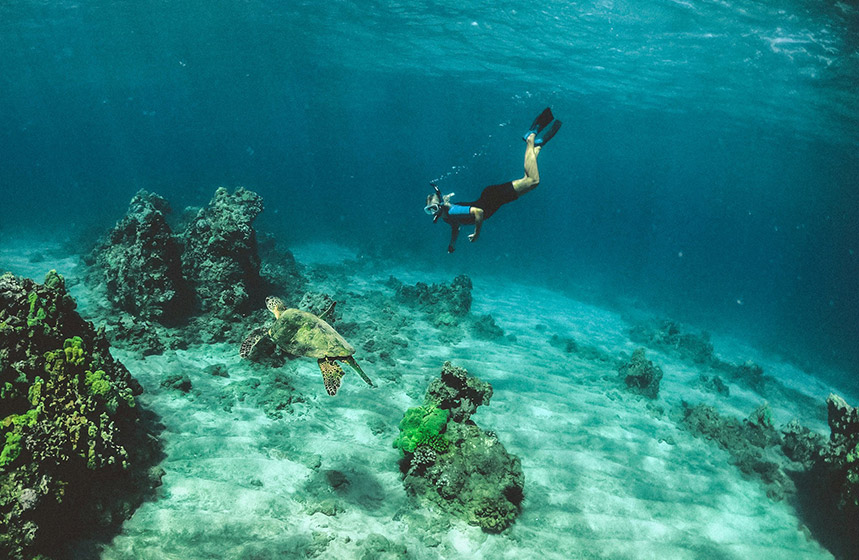 À la découverte des meilleurs spots de plongée et de snorkeling à l'île Maurice