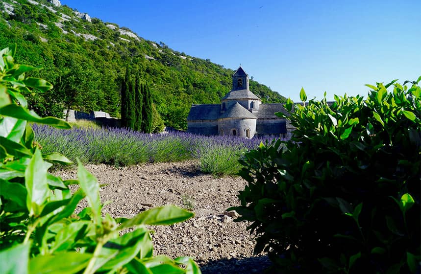 Qu'est-ce qui rend la Provence si irrésistible ?