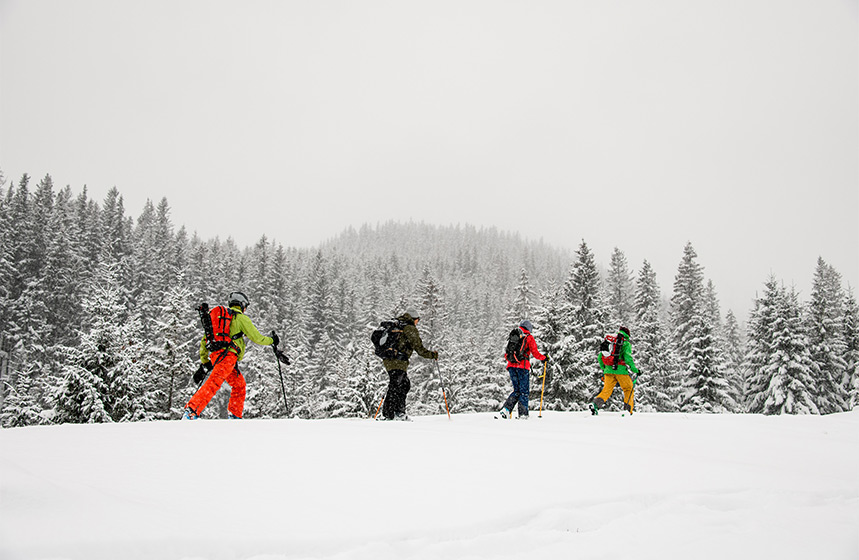 Écoles, ESF, clubs et cours de ski de fond à Megève
