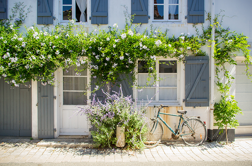 Île de Ré : Découverte des Villages, Plages et Saveurs Locales