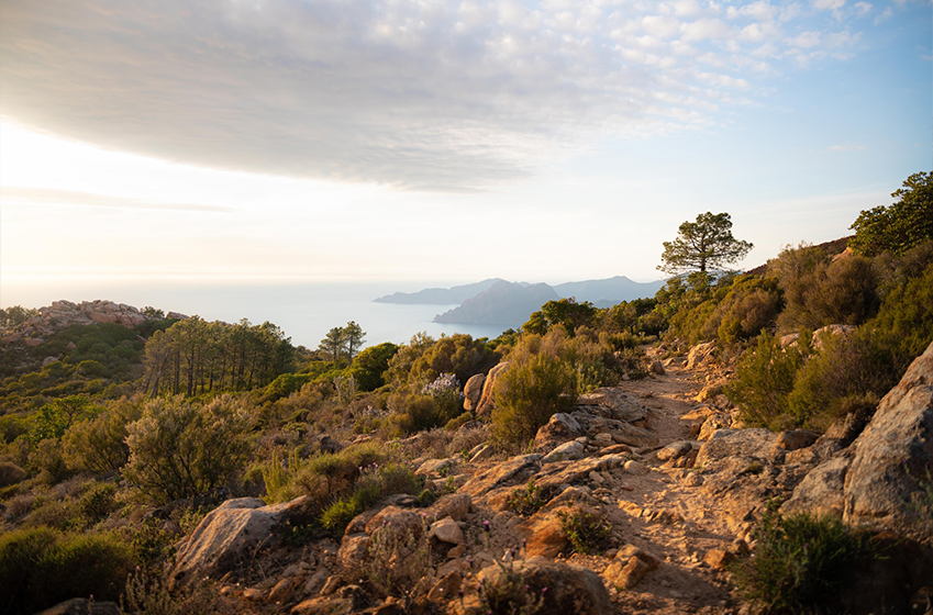 Culture, nature et luxe : Découvrez la Corse pour vos vacances 2025 