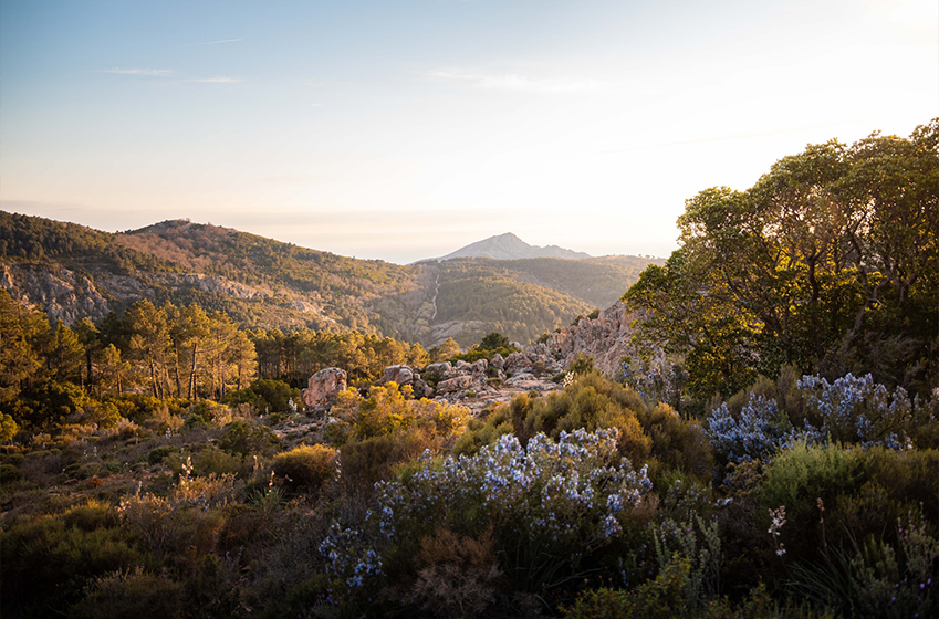 Partir à la découverte des sites emblématiques du Sud de la Corse
