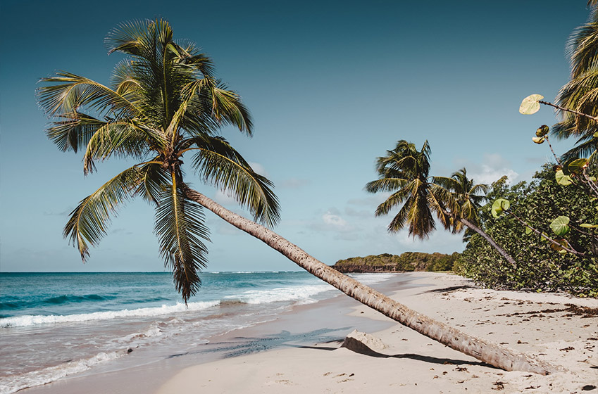 9. Martinique : pour un séjour ensoleillé en mars