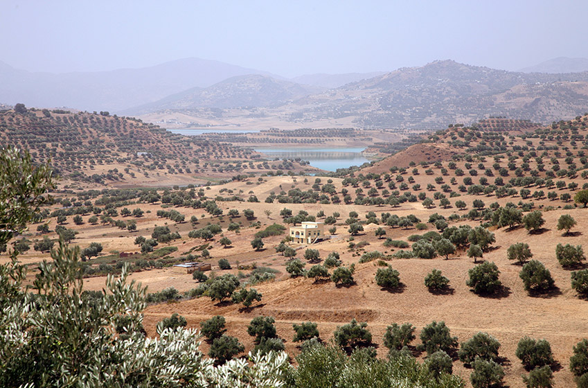 Automne : temps doux et récoltes d'olive et d'argan