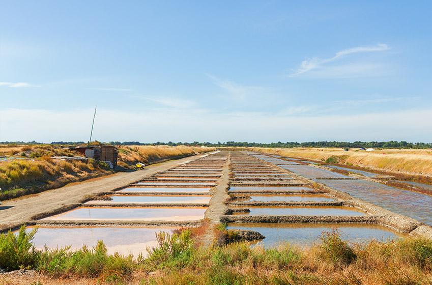 Où aller sur l'Île de Ré ? Les meilleurs villages pour vos vacances