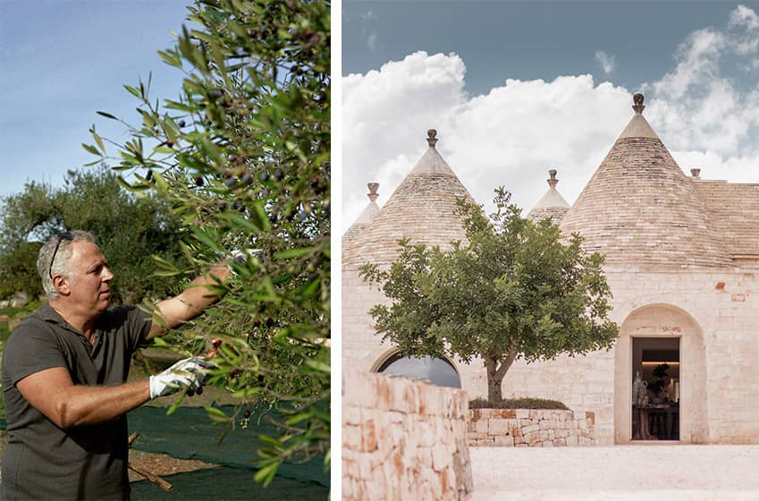 Interview propriétaire : Portraits des villas Pamina et Damarice
