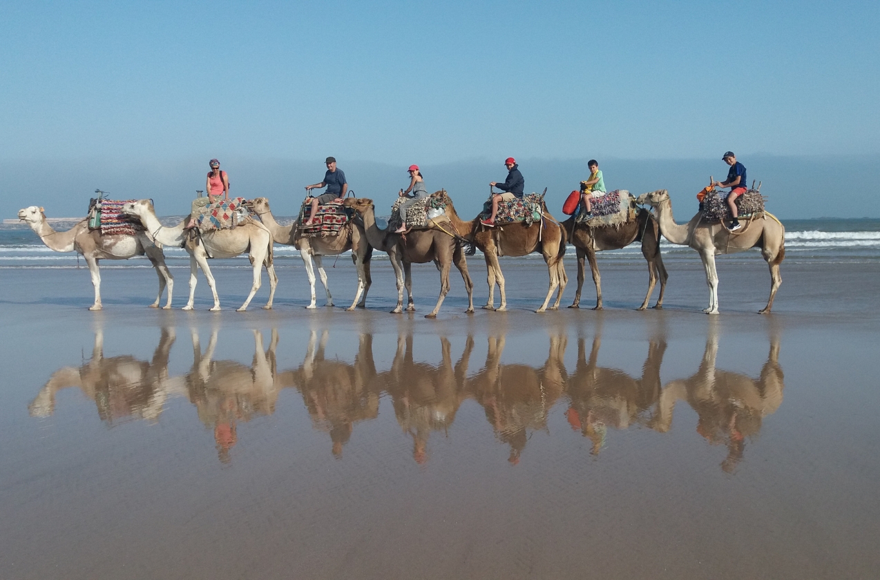 Activités et excursions : que faire autour d'Essaouira ?