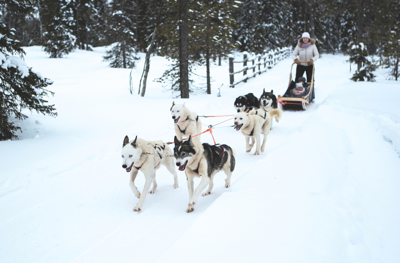 Activités famille et nature hors ski