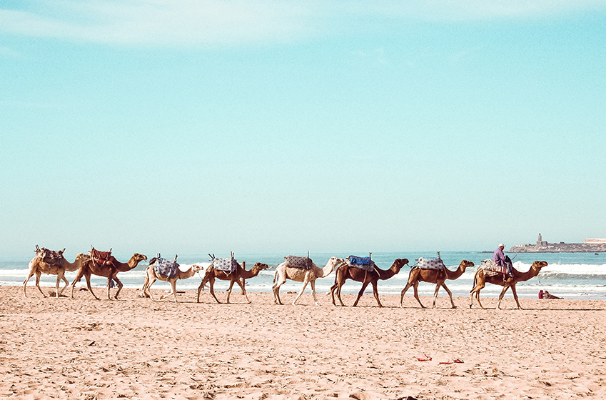 Que faire et voir autour d'Essaouira?
