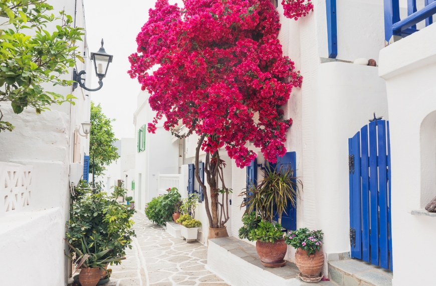 Paros : plages dorées et charme des Cyclades