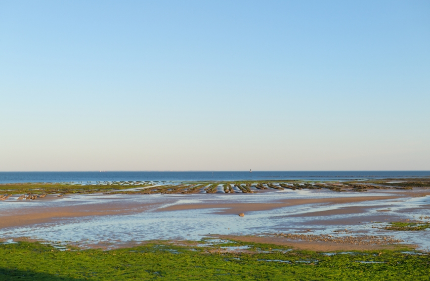 Pourquoi visiter l’Île de Ré ? Une île française au charme intemporel
