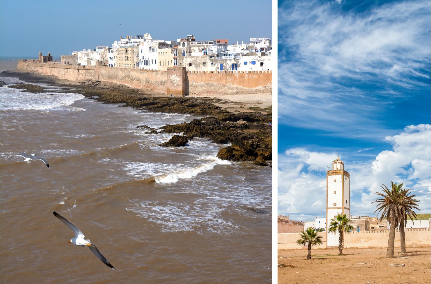 Que faire à Essaouira en famille ?