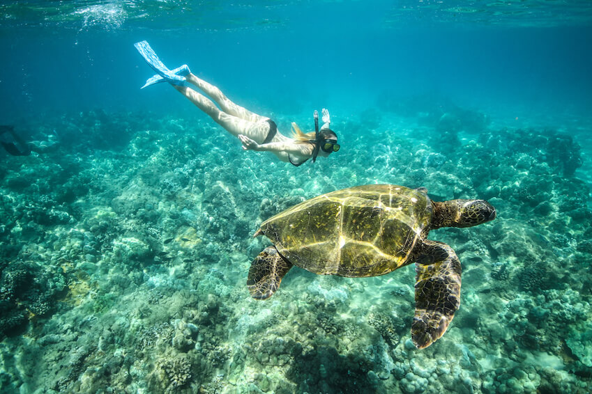 5 spots pour nager avec les tortues Villanovo