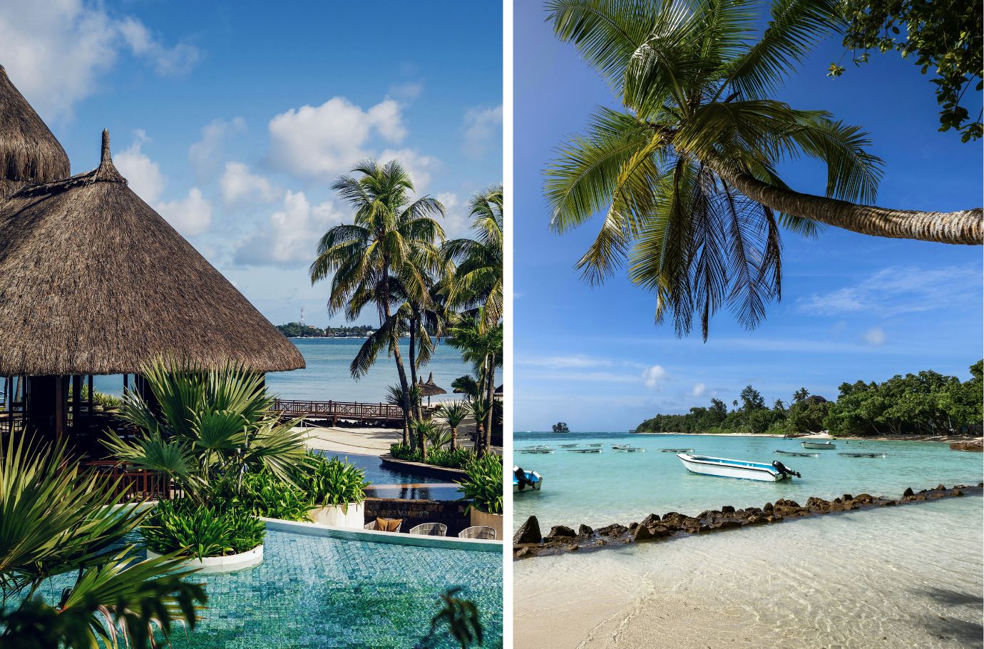 Île Maurice ou Seychelles : quelle île choisir pour votre séjour