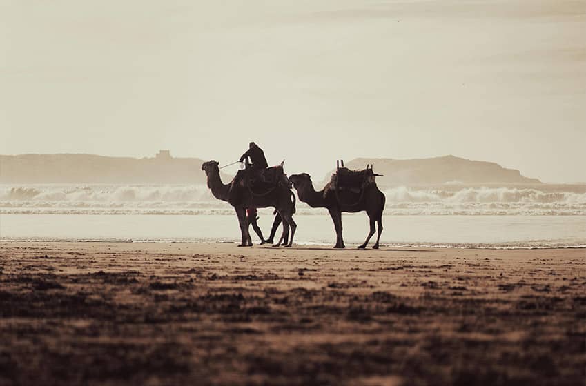 Essaouira : une base idéale pour découvrir le Maroc autrement