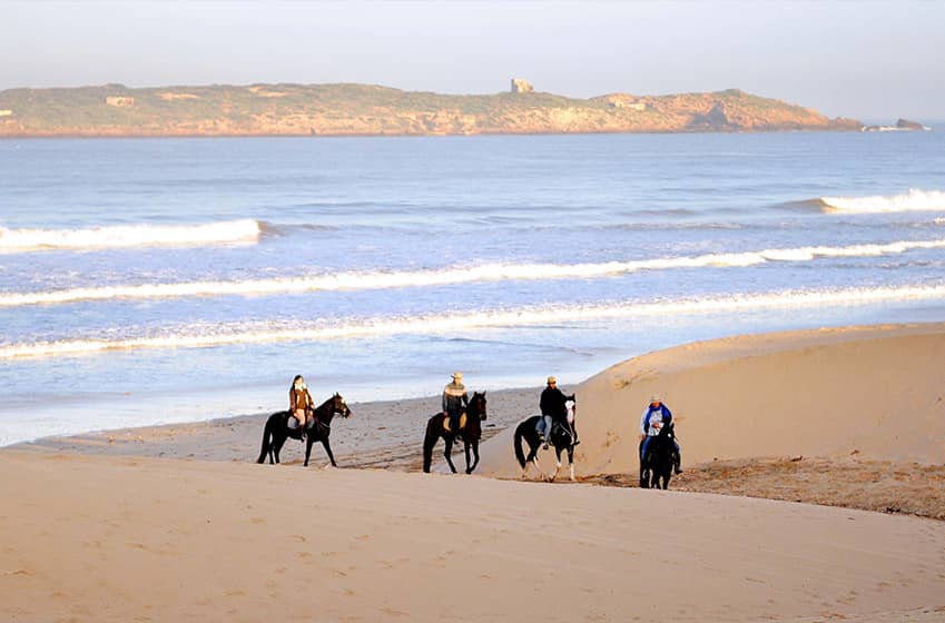 Excursions nature : Ranch de Diabat entre plage, campagne et désert