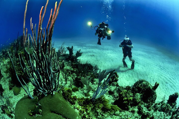 caraïbes plongée