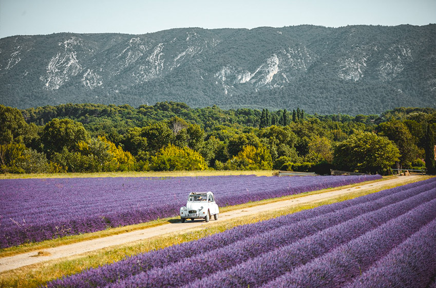Notre guide pour découvrir la Provence et ses incontournables