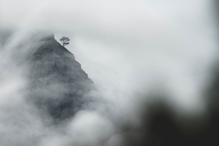 Lion’s Head