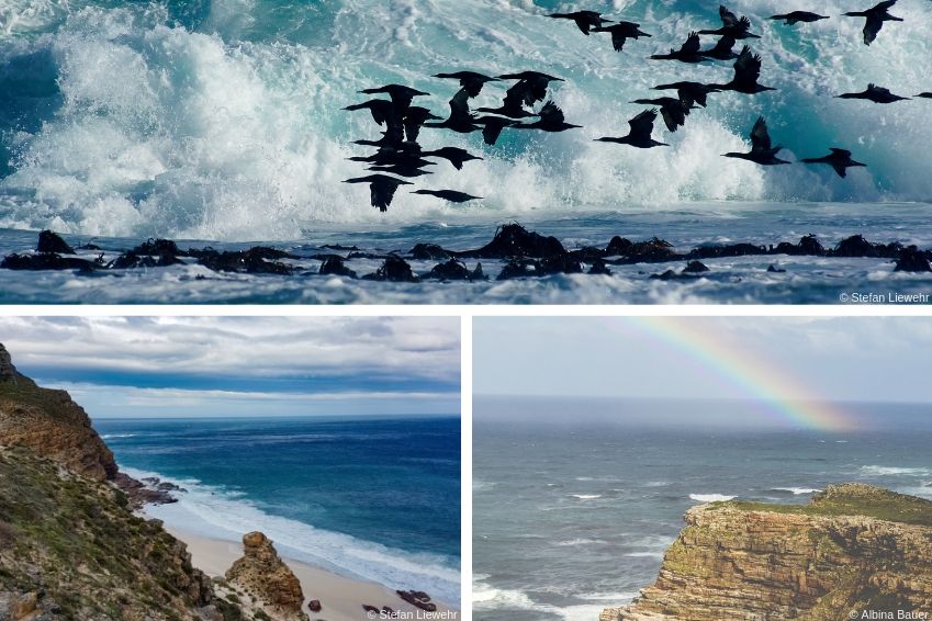 Le bout du monde à portée de main : le Cap de Bonne-Espérance