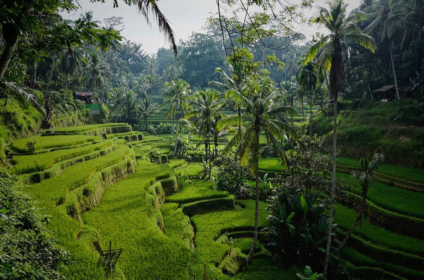 5. Bali : Spiritualité et bien-être pour vos vacances en décembre