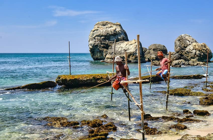 10. Sri Lanka : Partir explorer la nature en décembre au soleil