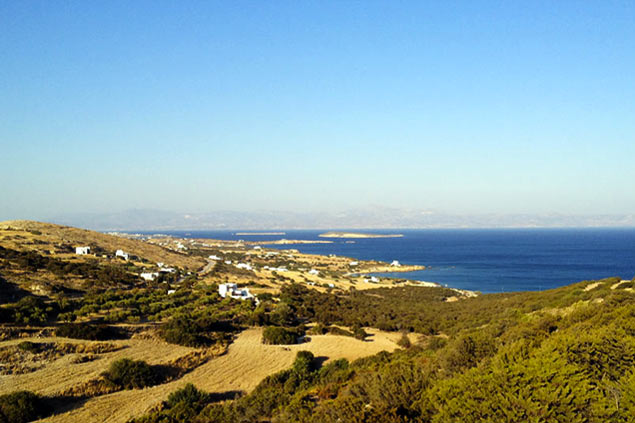 Location de villas à Paros