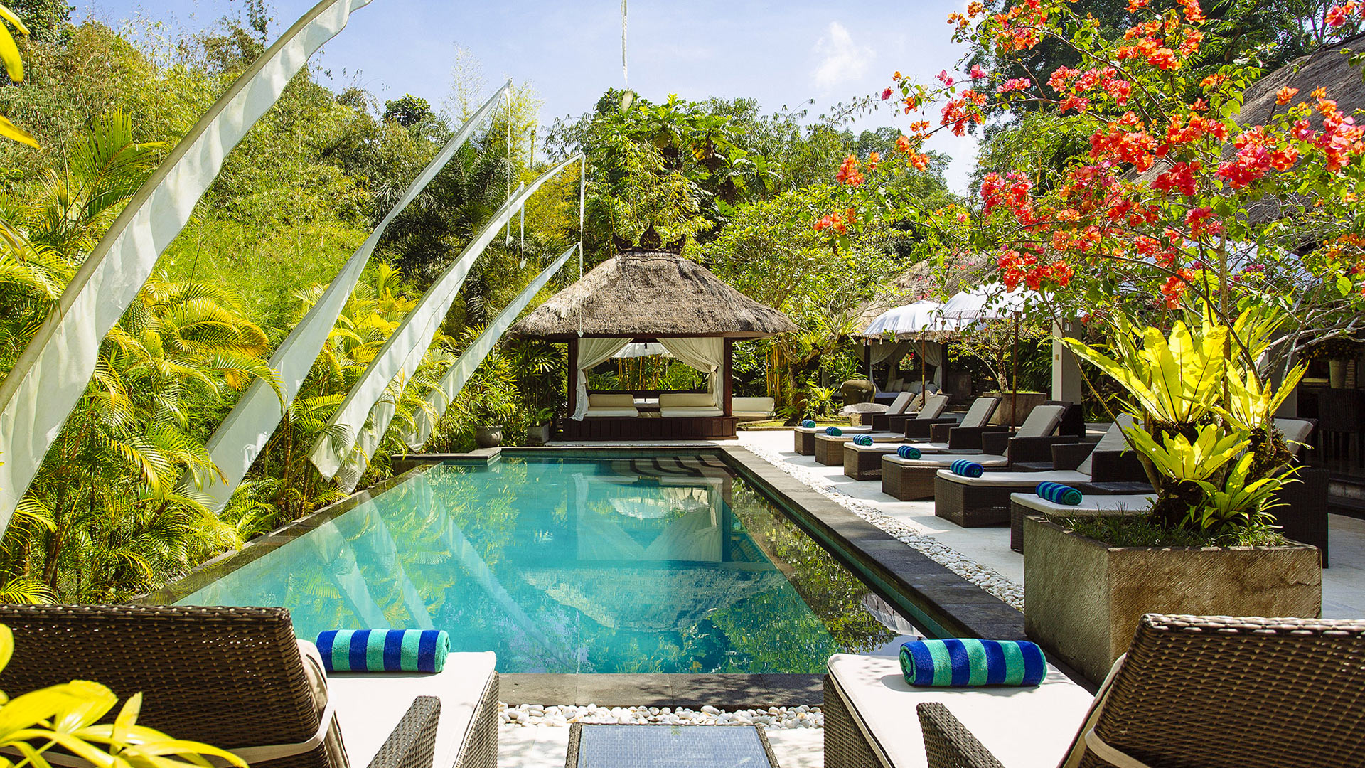 Villa Selato Villa à louer à Bali, Nord Plage de Lovina Villanovo