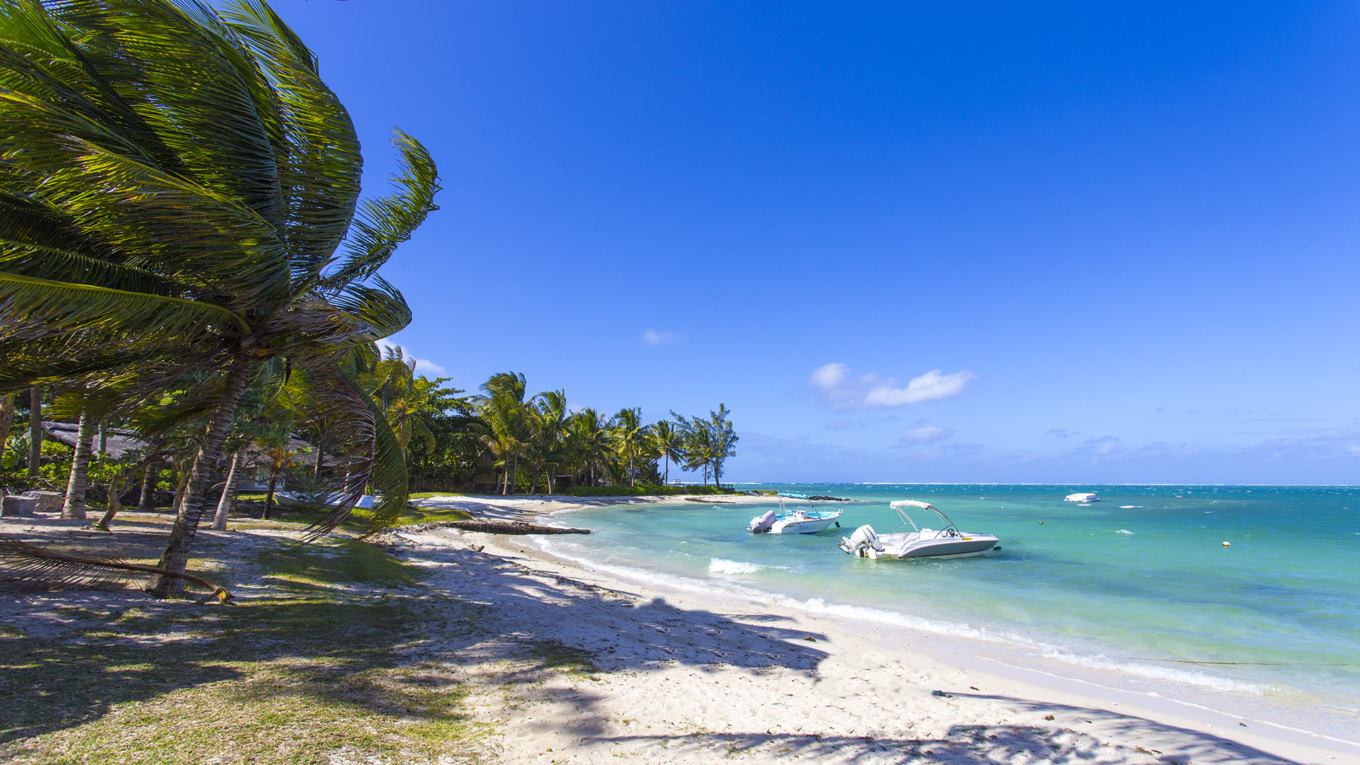 Villa Villa Cambresi, Location à Île Maurice Est