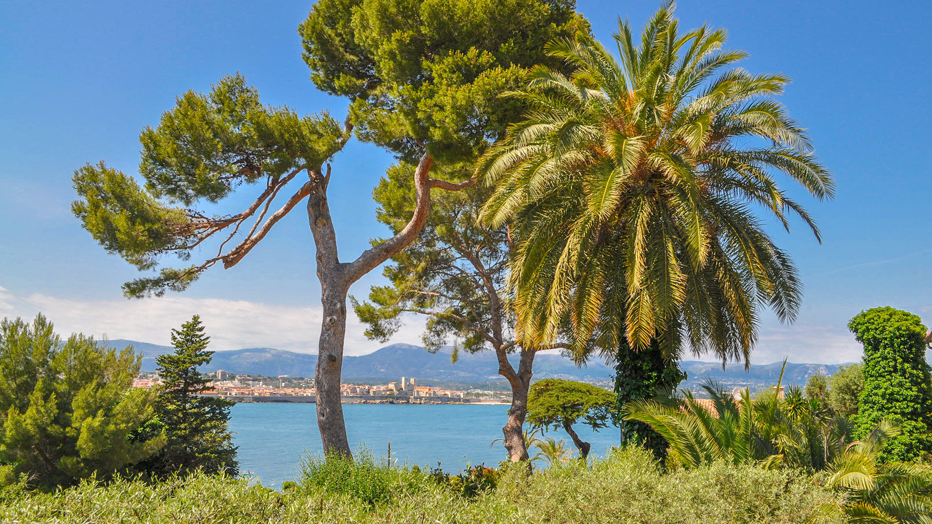 Villa Villa Wenda, Location à Côte d'Azur