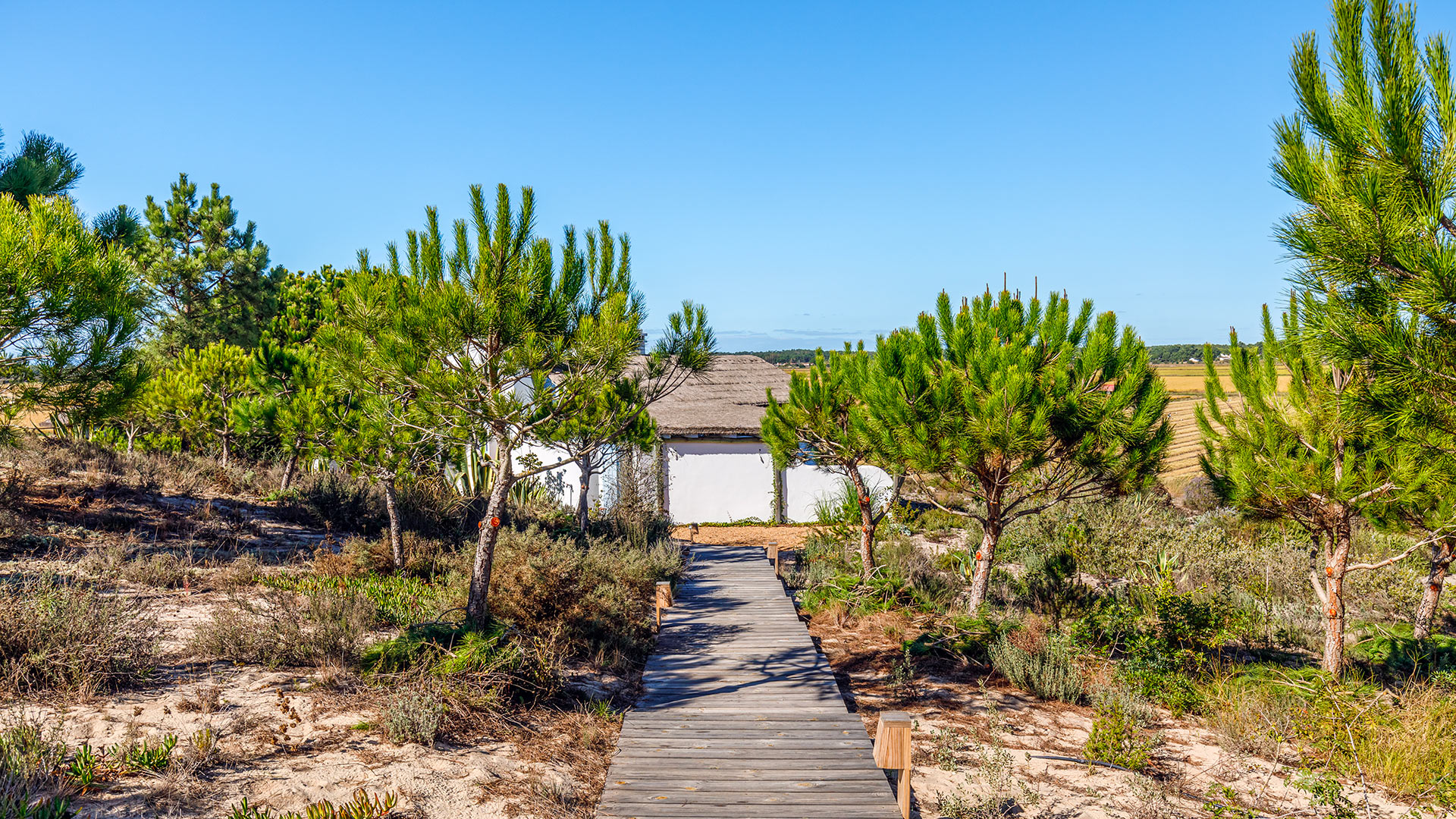 Villa Villa Eutrema, Location à Comporta